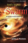 Soul'S Asylum - The Swarm