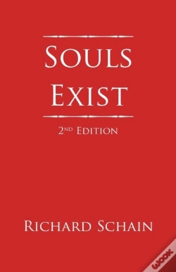 Capa do artigo Souls Exist