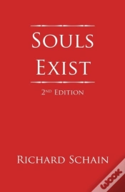 Capa do artigo Souls Exist