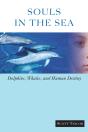 Souls In The Sea - Preview