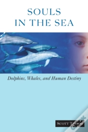 Capa do artigo Souls In The Sea