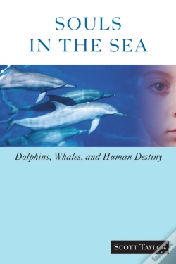 Capa do artigo Souls In The Sea