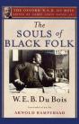 Souls Of Black Folk - Preview