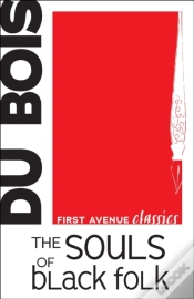 Capa do artigo Souls Of Black Folk