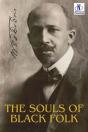 Souls Of Black Folk - Preview