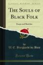 Souls Of Black Folk - Preview