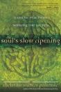 Soul'S Slow Ripening - Preview
