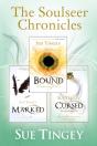 Soulseer Chronicles - Preview