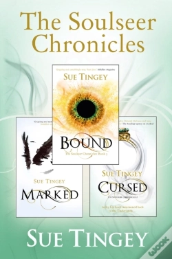Capa do artigo Soulseer Chronicles