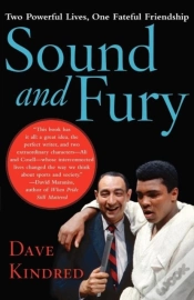 Capa do artigo Sound And Fury