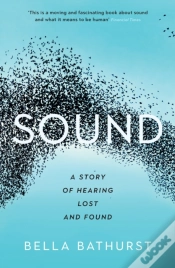 Capa do artigo Sound