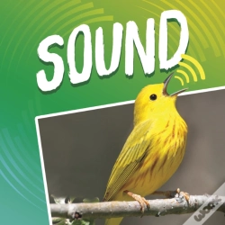 Capa do artigo Sound