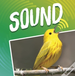 Capa do artigo Sound