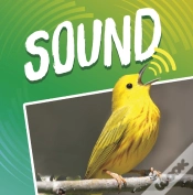 Capa do artigo Sound