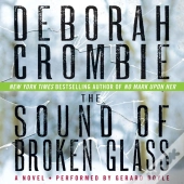 Sound Of Broken Glass