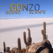 Capa do artigo Sound Scraps - Cassete
