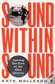 Capa do artigo Sound Within Sound