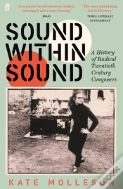 Capa do artigo Sound Within Sound