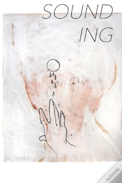 Capa do artigo Sounding