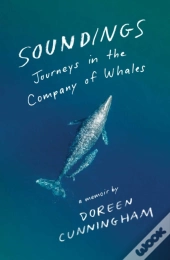 Soundings