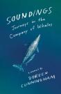 Soundings - Preview