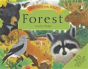 Sounds Of The Wild Forest - Preview