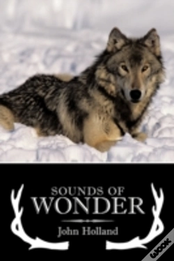 Capa do artigo Sounds Of Wonder