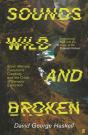 Sounds Wild And Broken - Preview