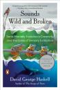 Sounds Wild And Broken - Preview