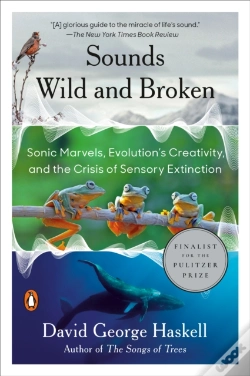 Capa do artigo Sounds Wild And Broken