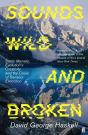 Sounds Wild And Broken - Preview