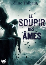 Capa do artigo Soupir Ames