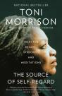 Source Of Self-Regard - Preview