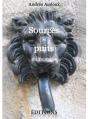 Sources Et Puits En Touraine - Preview