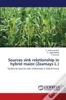 Sources Sink Relationship In Hybrid Maize (Zeamays L.)
