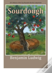 Capa do artigo Sourdough
