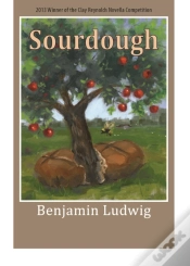 Capa do artigo Sourdough