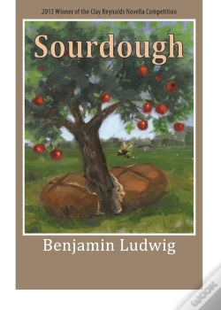 Capa do artigo Sourdough