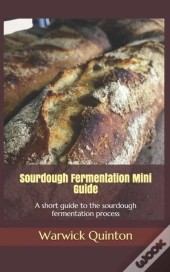 Sourdough Fermentation Mini Guide: A Sho