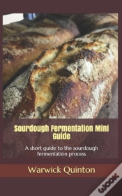 Capa do artigo Sourdough Fermentation Mini Guide: A Sho