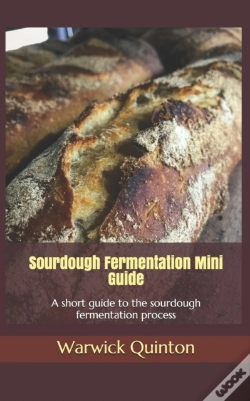 Capa do artigo Sourdough Fermentation Mini Guide: A Sho