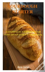 Capa do artigo Sourdough Starter