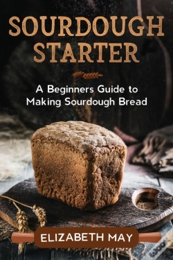 Capa do artigo Sourdough Starter