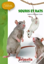Capa do artigo Souris Et Rats