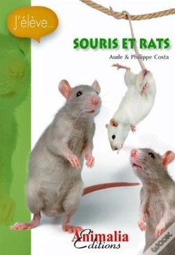 Capa do artigo Souris Et Rats