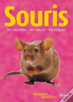 Capa do artigo Souris