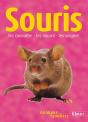 Souris - Preview