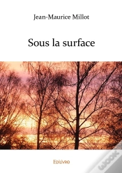 Capa do artigo Sous La Surface