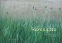 Sous Le Silence De Ramsgate - Preview