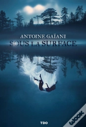 Capa do artigo Sous Le Surface